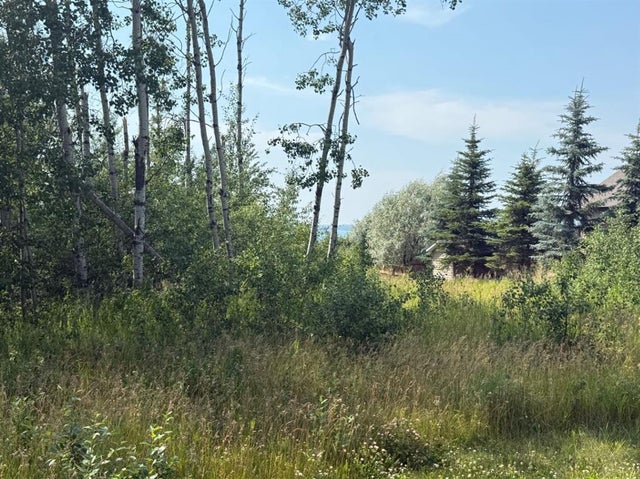 520 Diamond Willow Drive, Lac des Isles