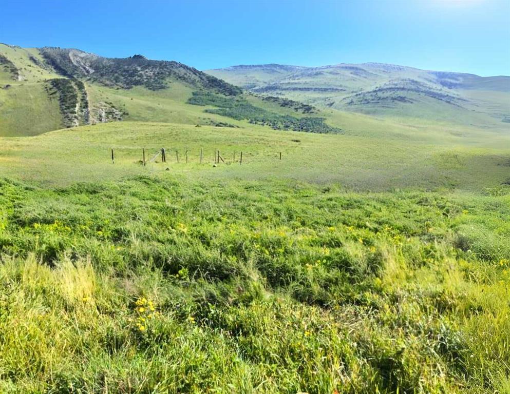 Photo of Listing #A2189271