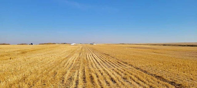 Rural Hwy 854, Ryley