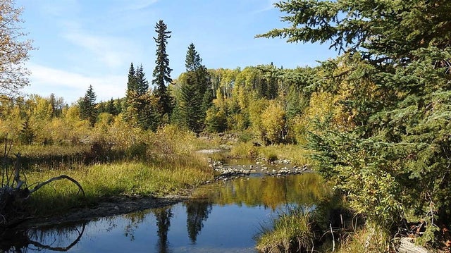 108 Acres Bordering Kananaskis, Rural Foothills County