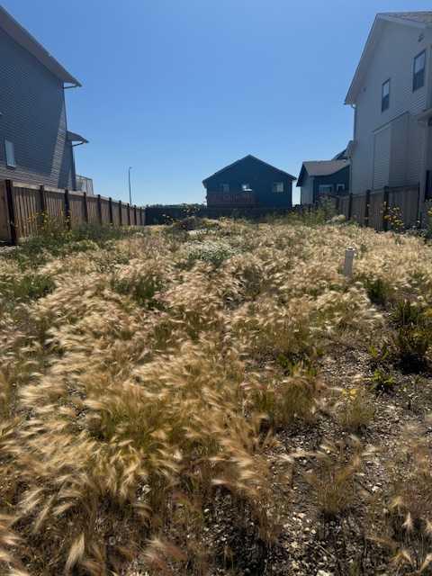 Photo of Listing #A2203915