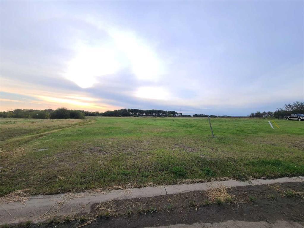 Photo of Listing #A2205339