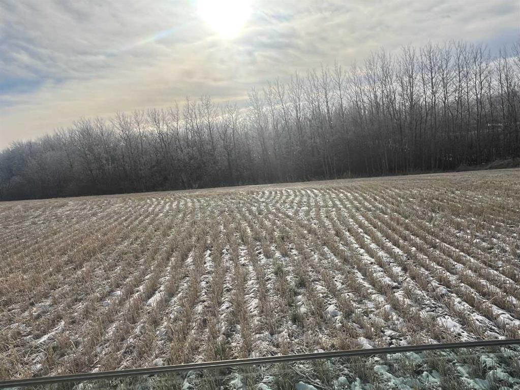 Photo of Listing #A2205973