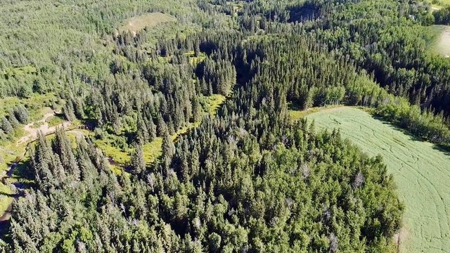 Range Road 225 Canyon Road, Rural Athabasca County