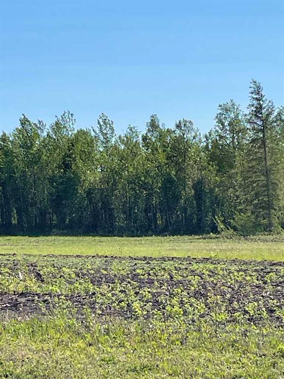 Lots 5 & 6, Rural Mackenzie County