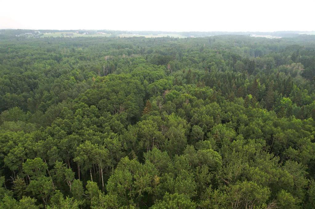 Photo of Listing #A2216202