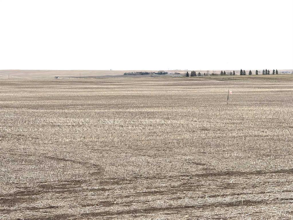 Photo of Listing #A2217316