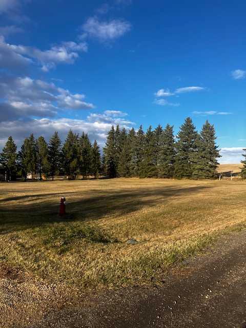 Photo of Listing #A2219096