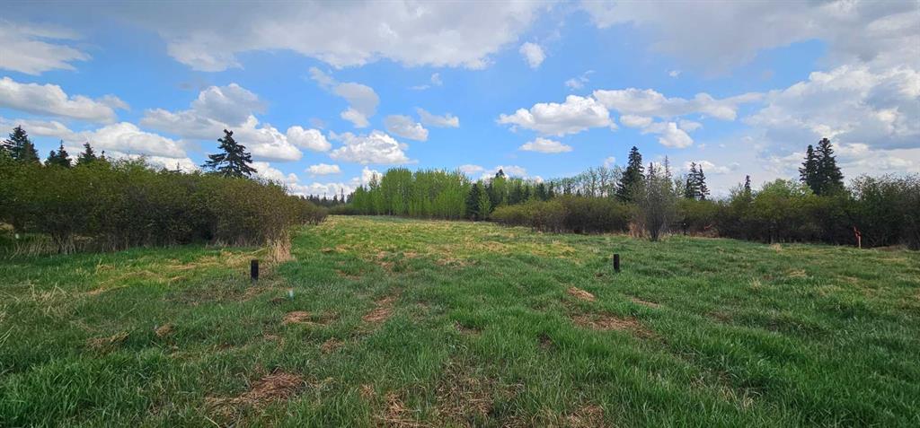 Photo of Listing #A2219701