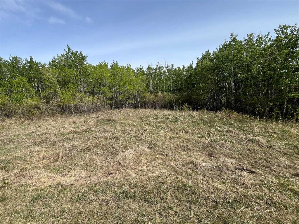 Photo of Listing #A2220318