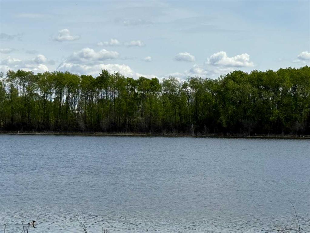 Photo of Listing #A2222797