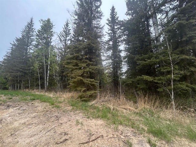 148 Christina Lake Drive Rr, Conklin