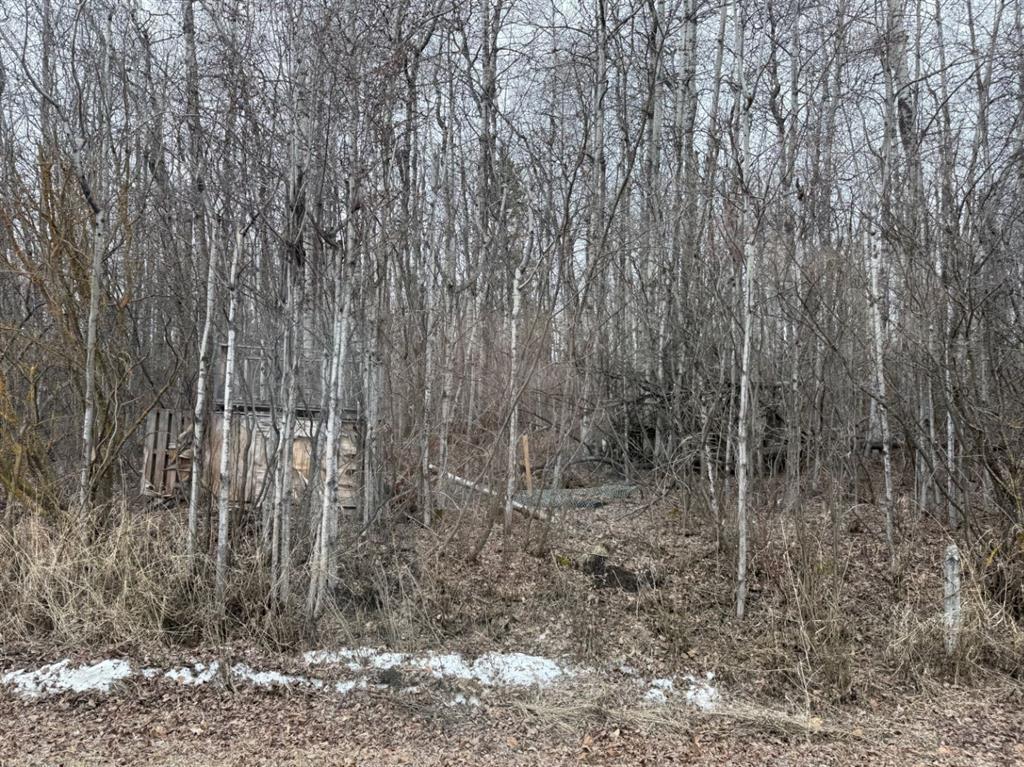 Photo of Listing #A2224255