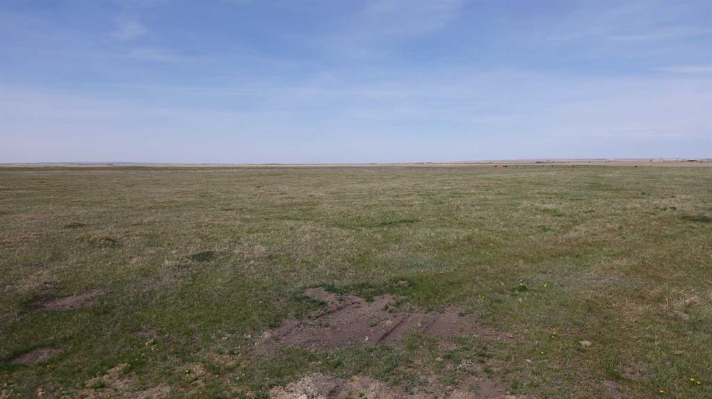 Photo of Listing #A2224592