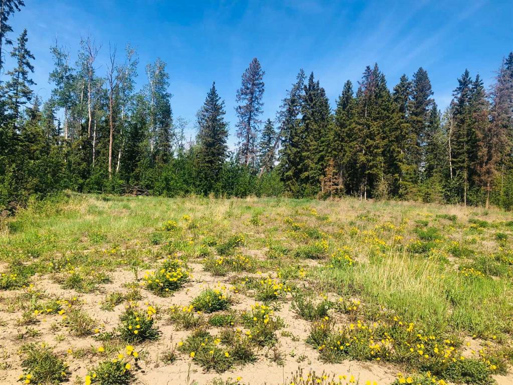 Photo of Listing #A2224783