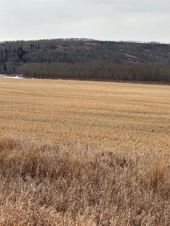 3-1-2121458 242a Range, Rural Birch Hills County