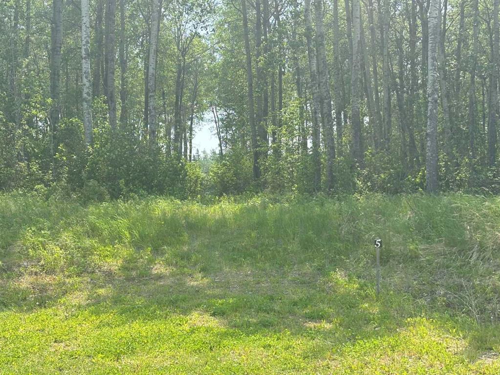 Photo of Listing #A2230146