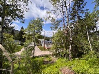 1539 134 Street, Blairmore