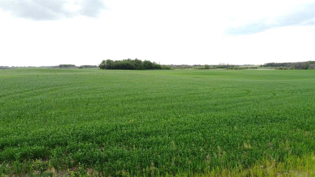 Photo of Listing #A2235205