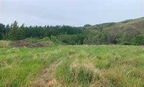 Photo of Listing #A2236423