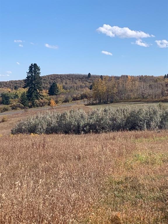 16 Red Willow Court W, Rural Foothills County