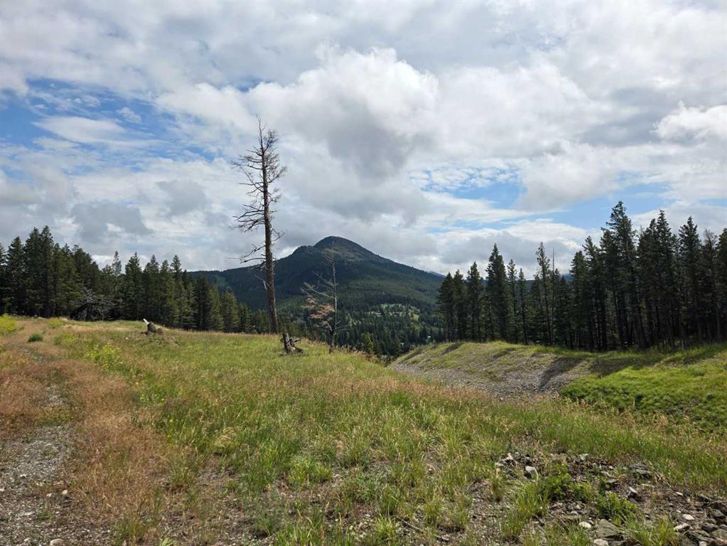 Photo of Listing #A2240921