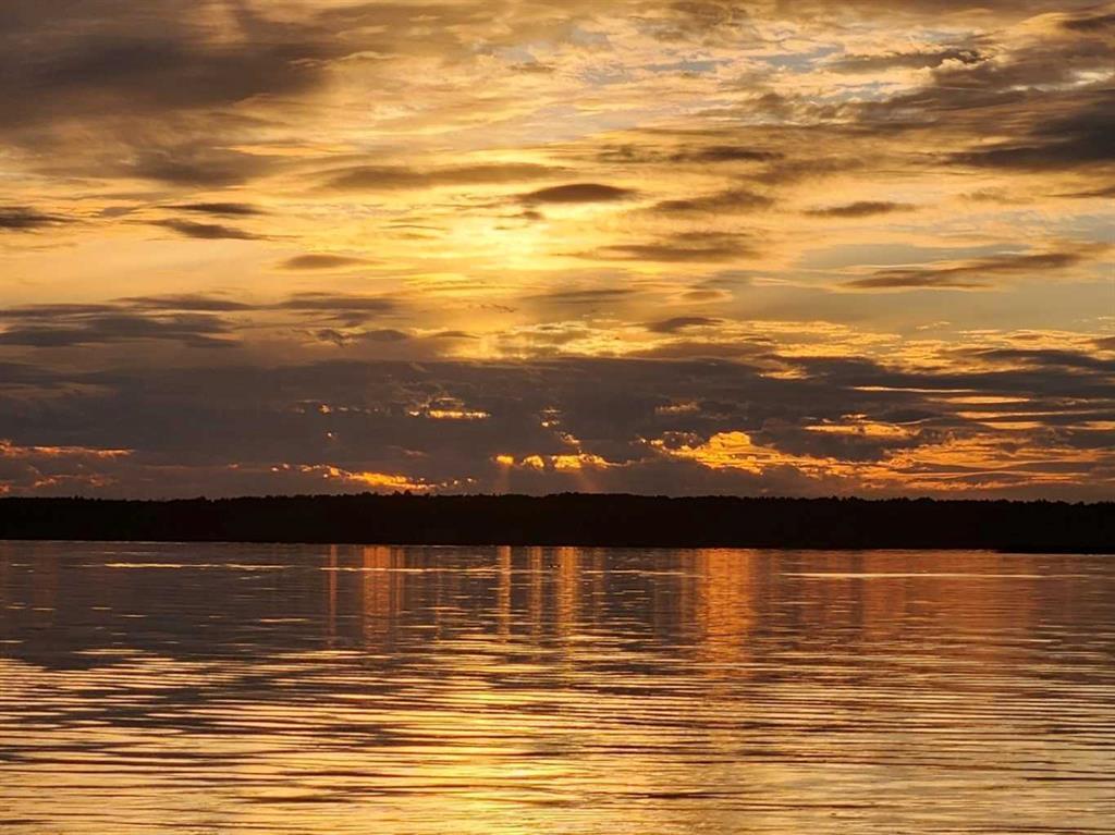 Photo of Listing #A2242500