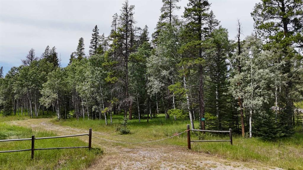 Photo of Listing #A2243033