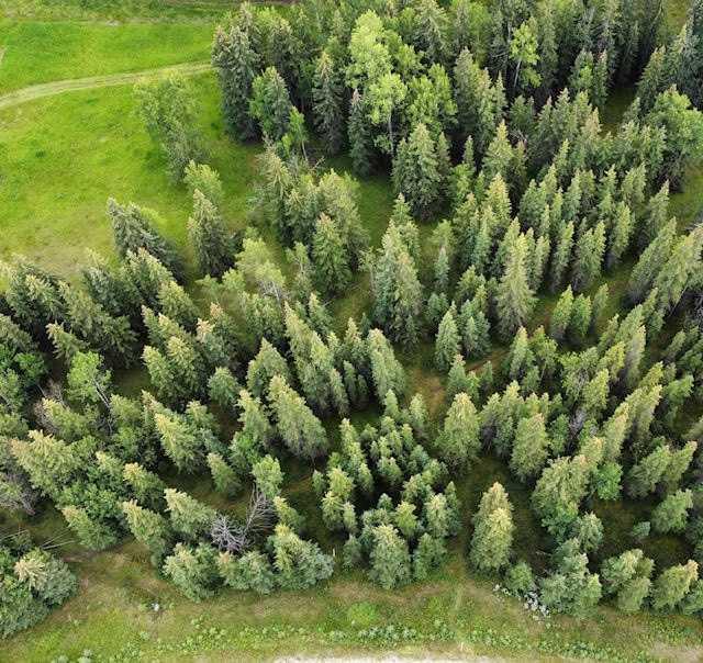 2 Juniper Ridge, Rural Yellowhead County
