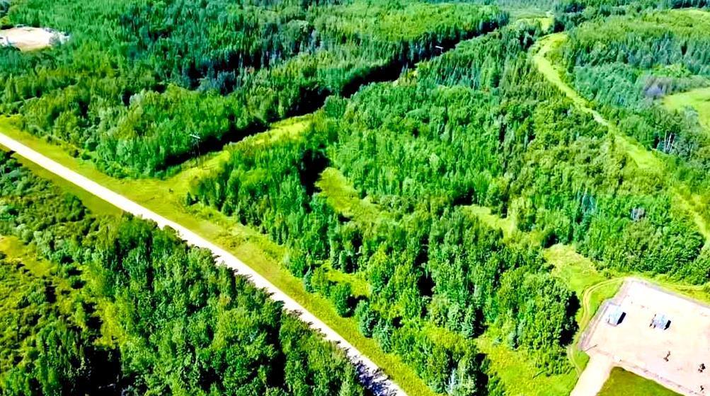 Photo of Listing #A2245929