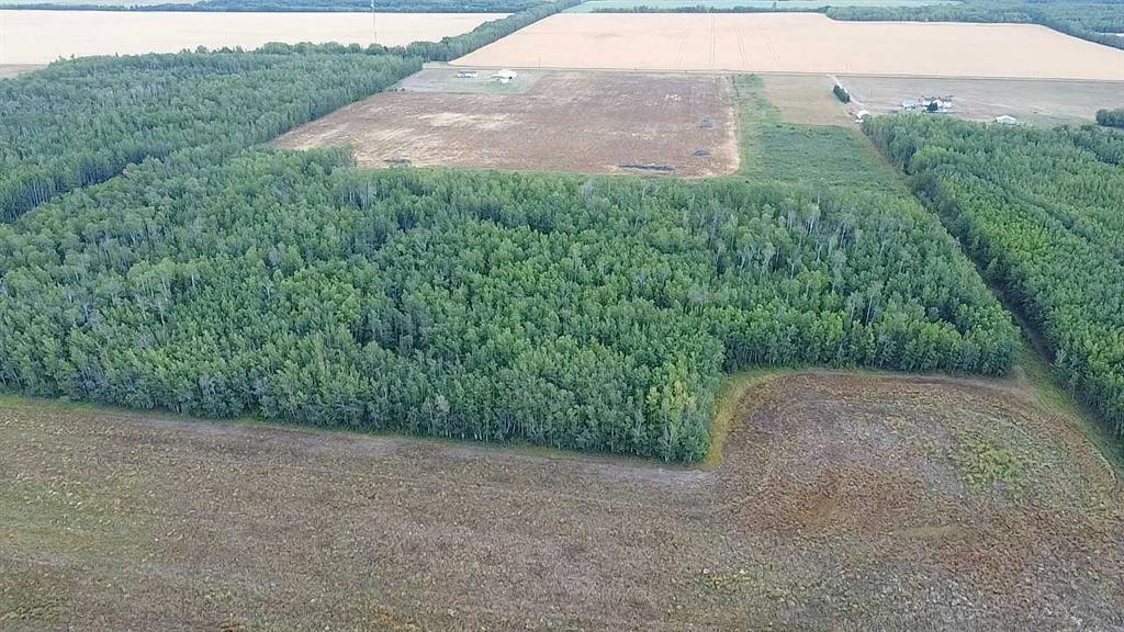 Photo of Listing #A2245936