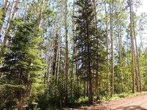 Lot #10 Wapiti River Sw-21-69-10-w6, Rural Grande Prairie No. 1, County of