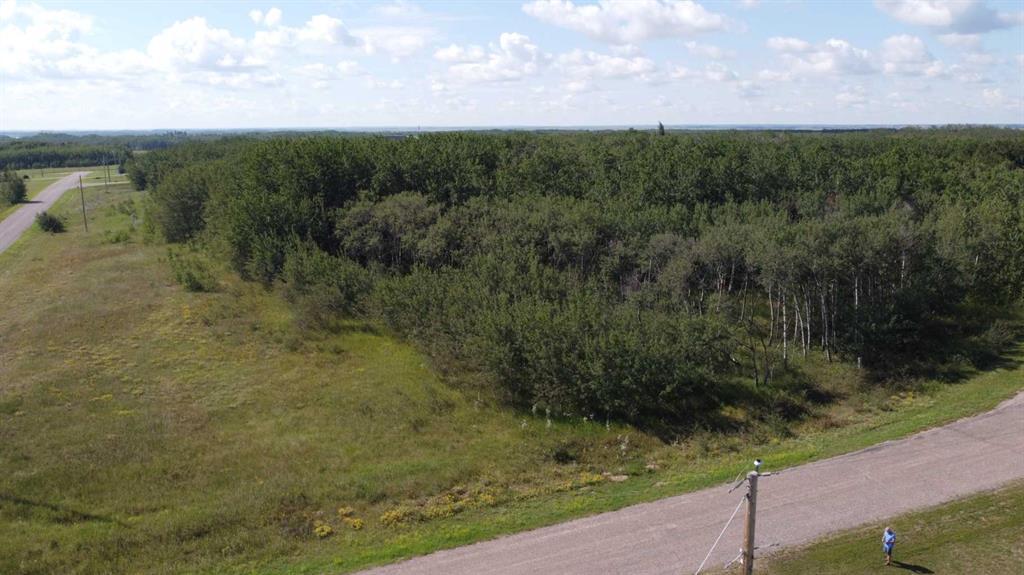 Photo of Listing #A2247813