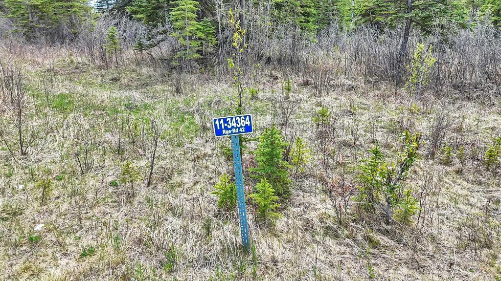 Photo of Listing #A2248905