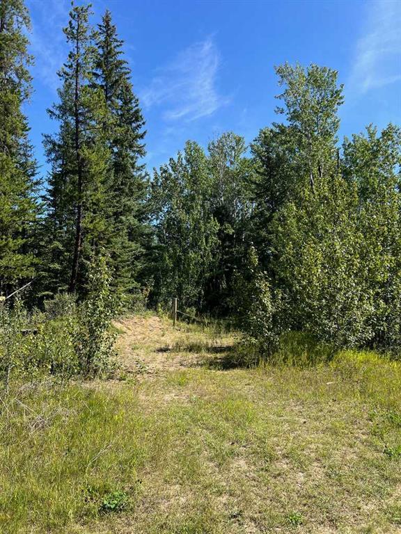 Photo of Listing #A2249646