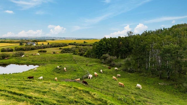 402 Avenue, Rural Foothills County