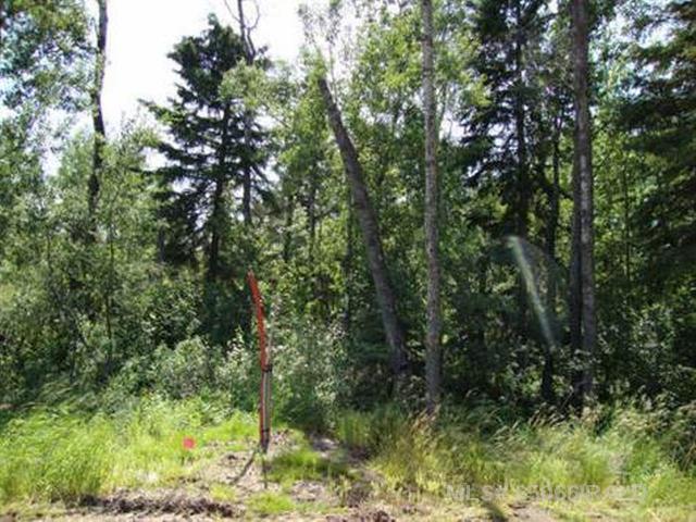 Lot 1 Blk 5 Lakeside Drive, Perch Lake
