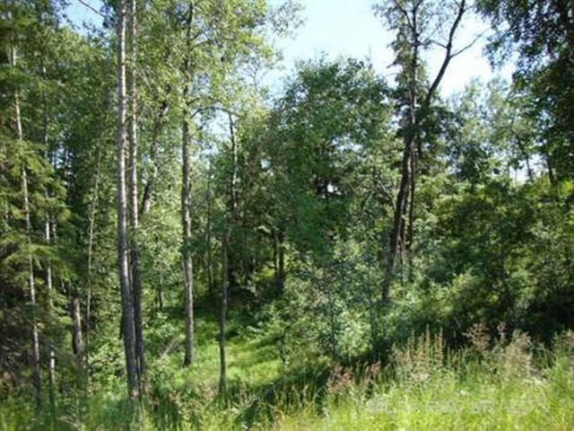 Lot 4 Blk 5 Lakeside Drive, Perch Lake