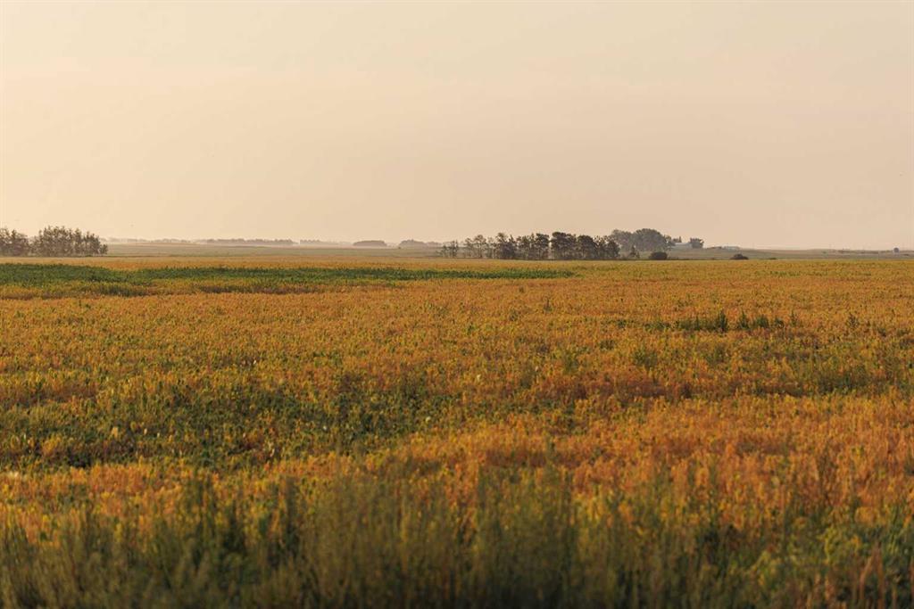 Photo of Listing #A2252287