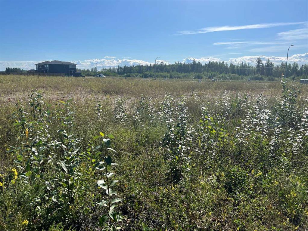 Photo of Listing #A2252834