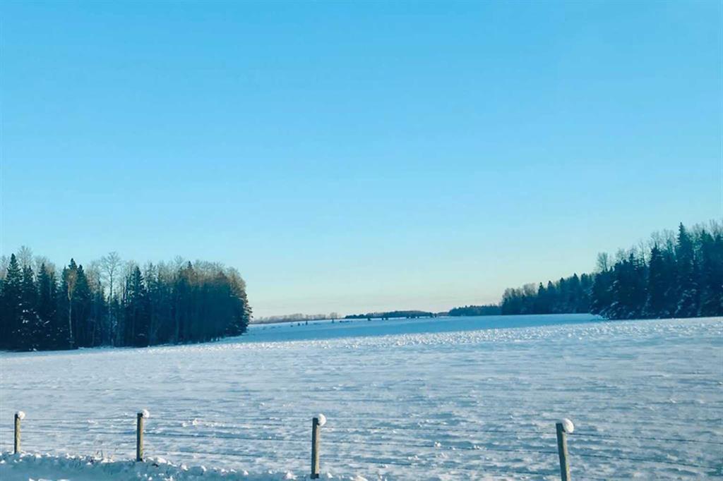 Photo of Listing #A2254667