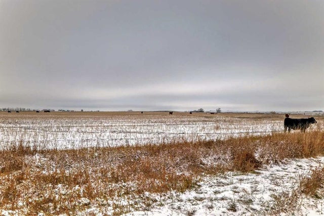 Range Road 241, Rural Wheatland County