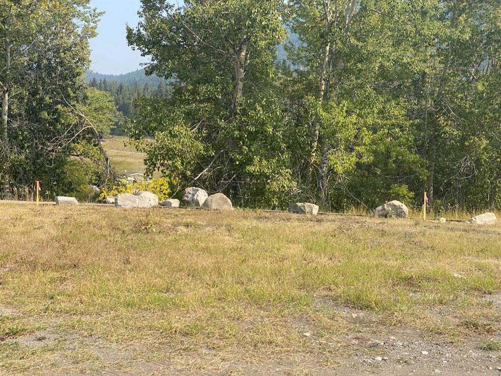 Photo of Listing #A2255476