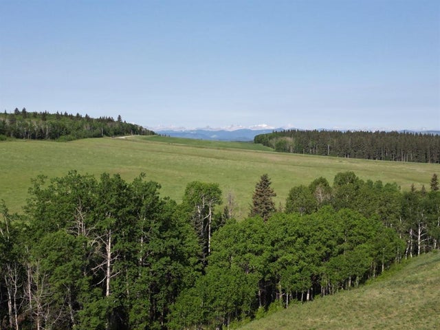 - -, Millarville