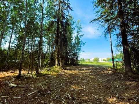 931 Wolf Trail, Sandy Lake