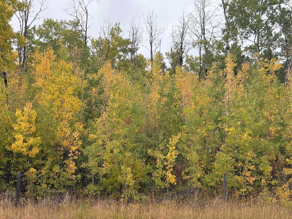 Photo of Listing #A2259155