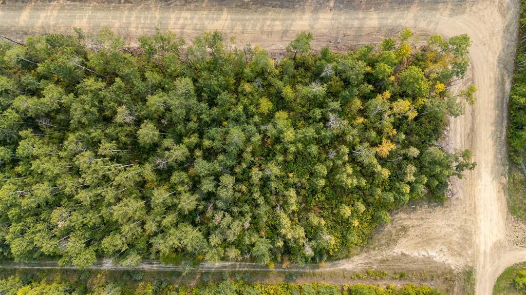 Photo of Listing #A2262587