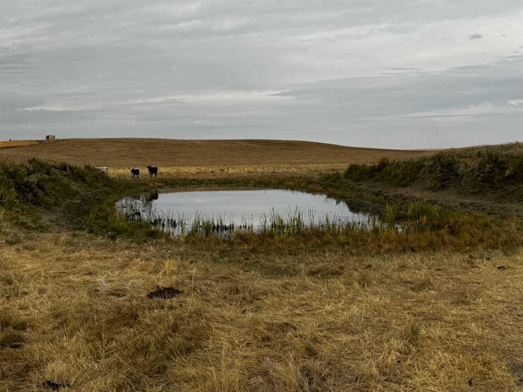 Photo of Listing #A2263165