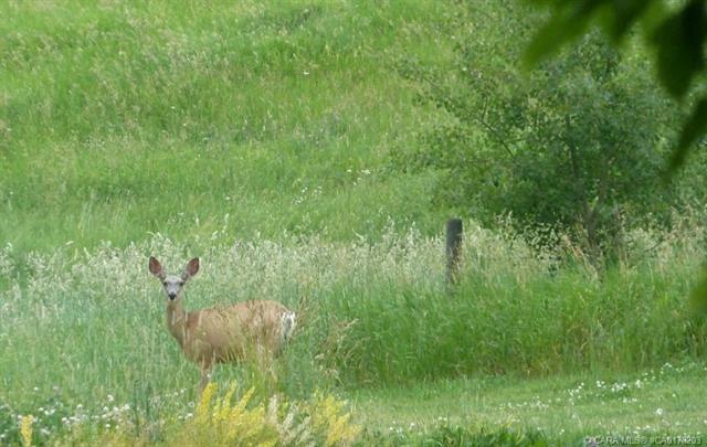 Photo of Listing #A2263215