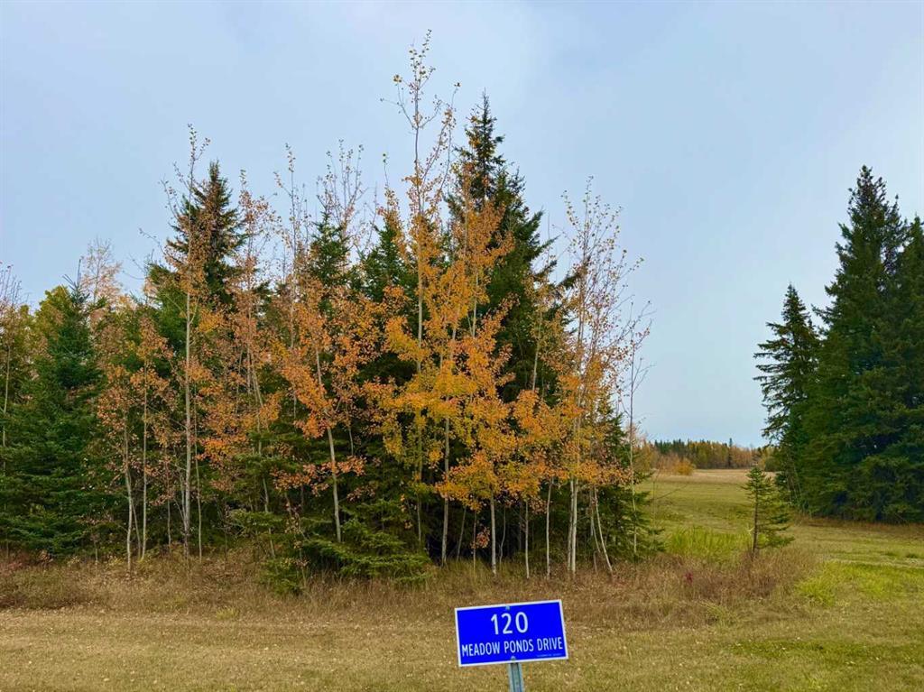 120 Meadow Ponds Drive, Rural Clearwater County